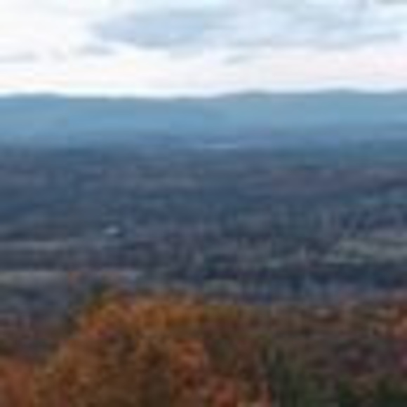 Meet your Posher, Theresa - Picture 1 of 1